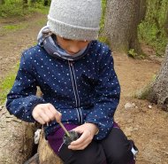 obrazek whatsapp 2024-05-08 v 12.15.19_e2851bb1